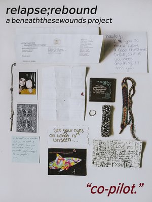 cover image of Co-pilot.